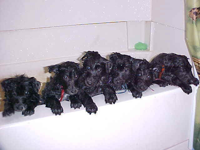 02_bath_time_MVC-563S