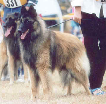 Milton at the 1998 French National Specialty